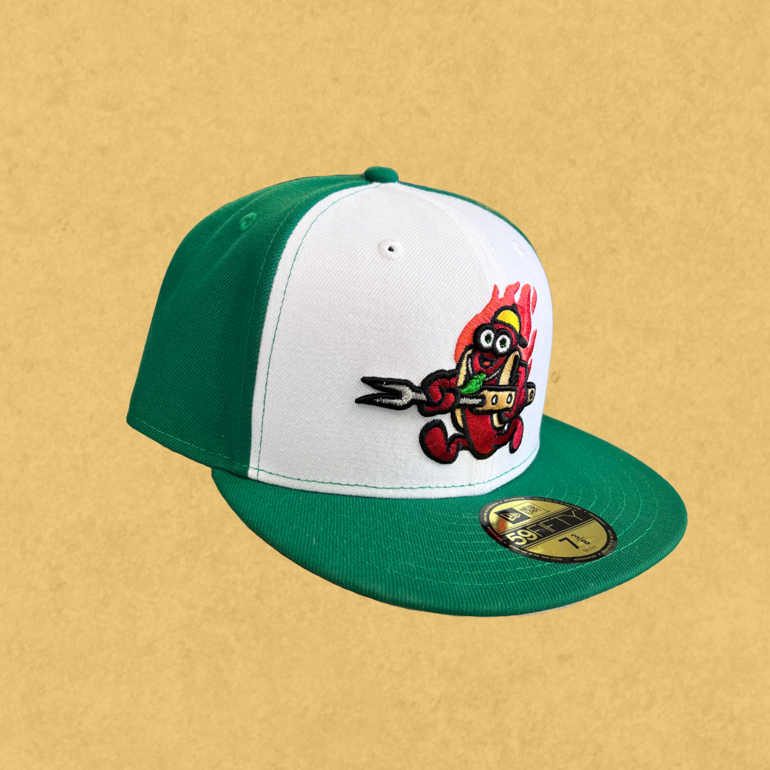 Perros Panel 5950 Akron RubberDucks